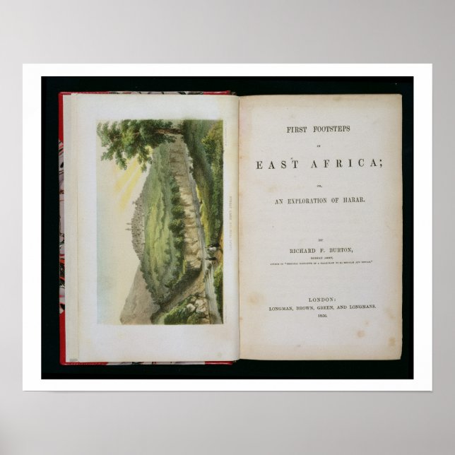 Póster Harar do Café Stream, de 'Primeiros Passos (Frente)