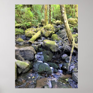 Poster Hardy Creek, Oregon