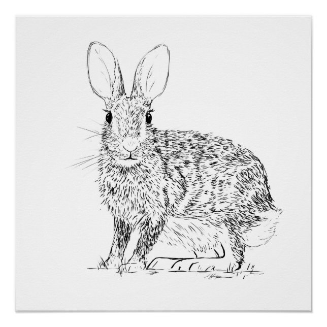 Póster Hare Monochrome Print (Frente)