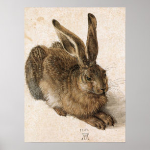 Poster "Hare novo