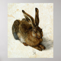 Hare por Albrecht Dürer