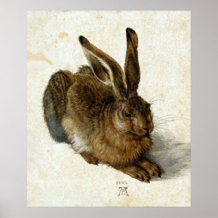 Poster Hare por Albrecht Dürer