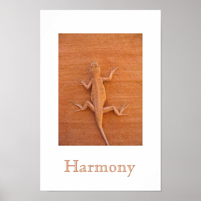 Poster Harmonia (Frente)