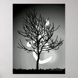 Póster Harmonia do 道 calmo do esplendor/Tao (TBA)