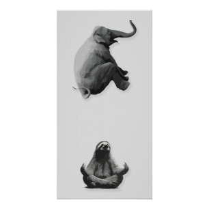 Póster Harmonia entre Elefante e Preguiça Meditativa