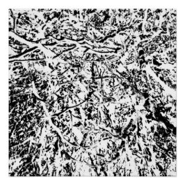 Póster Harmonia Primal