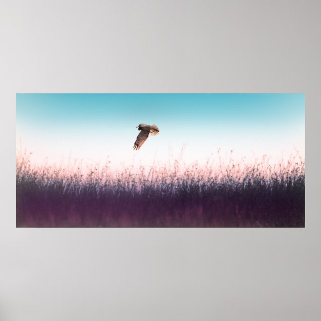 Poster Harrier Hawk (Frente)