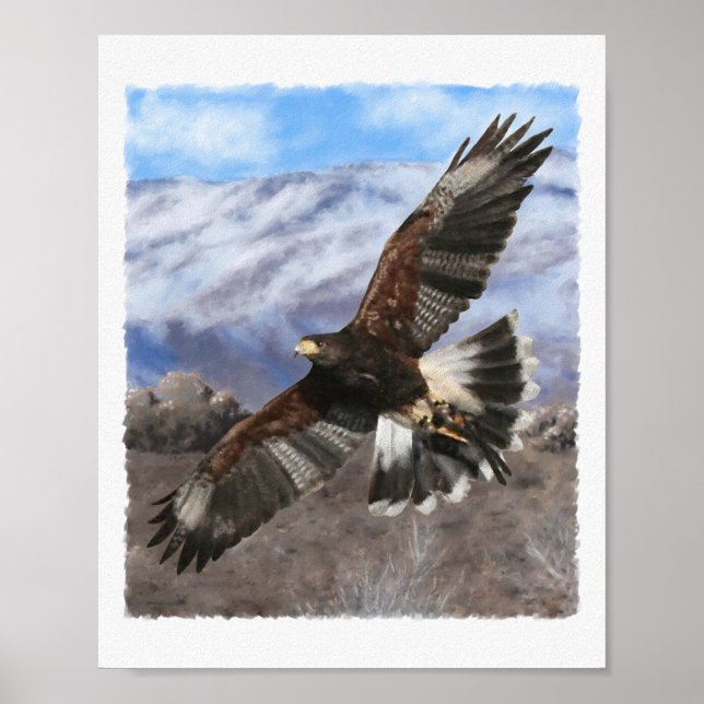 Poster Harris Hawk - pastel (Frente)