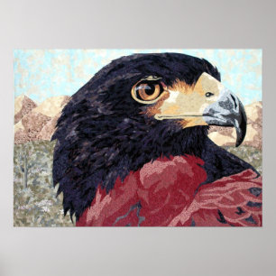 Póster Harris Hawk-têxtil