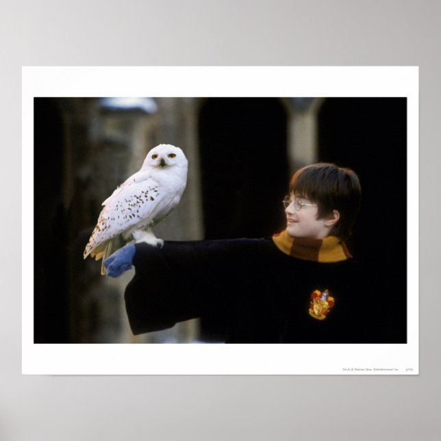 Póster Harry e Hedwig 3 (Frente)