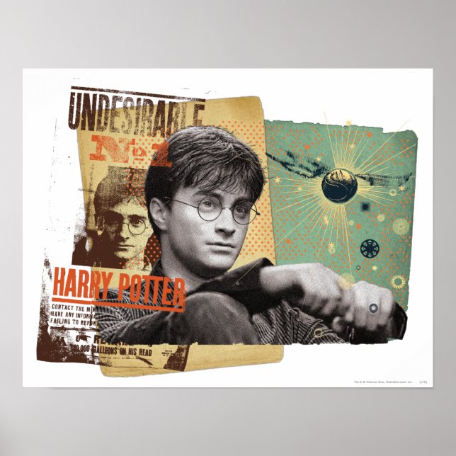 Poster Harry Potter 13 (Frente)