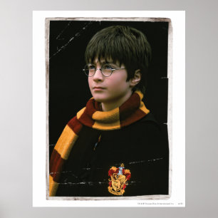 Poster Harry Potter 2