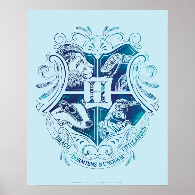 Poster Harry Potter | Aguamenti Brasão de HOGWARTS™ (Frente)