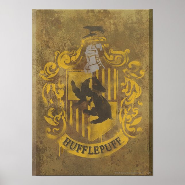 Póster Harry Potter | Brasão da Sonserina Spray Tinta (Frente)