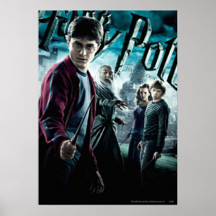Póster Harry Potter com Dumbledore Ron e Hermione 1
