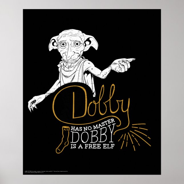 Poster Harry Potter | Dobby Não Tem Dono (Frente)