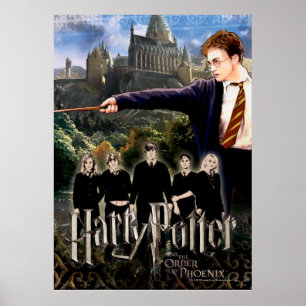 PÓSTER HARRY POTTER E A ORDEM DO PHOENIX™