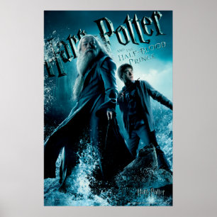 Póster Harry Potter e Dumbledore nas rochas 1