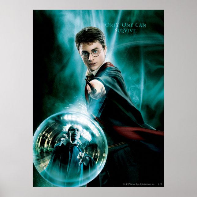 Póster Harry Potter e Voldemort apenas um pode sobreviver (Frente)