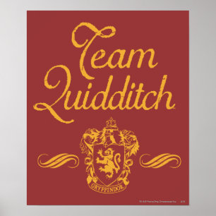 Póster Harry Potter   Equipe QUIDDITCH™