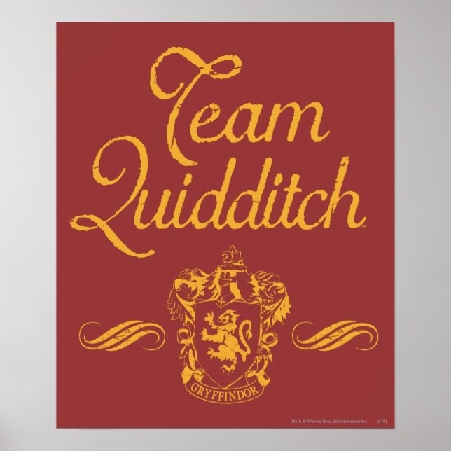 Póster Harry Potter | Equipe QUIDDITCH™ (Frente)