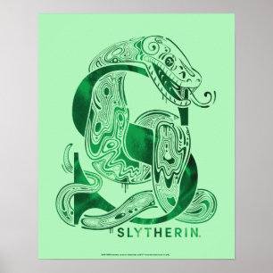 Poster Harry Potter  Gráfico Aguamenti SLYTHERIN™