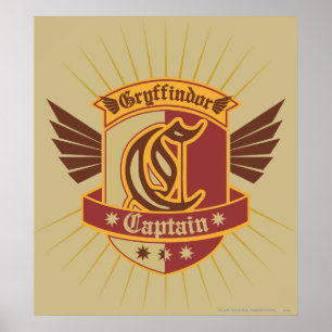 Poster Harry Potter   Gryffindor QUIDDITCH � Capitão E