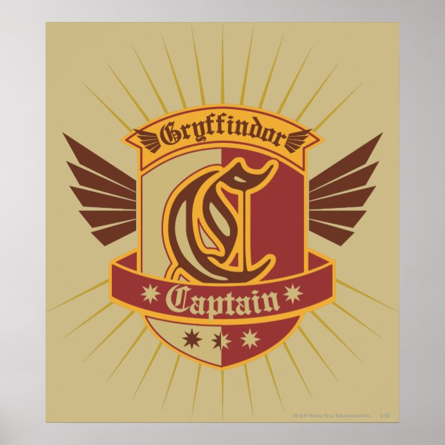 Poster Harry Potter | Gryffindor QUIDDITCH � Capitão Embl (Frente)