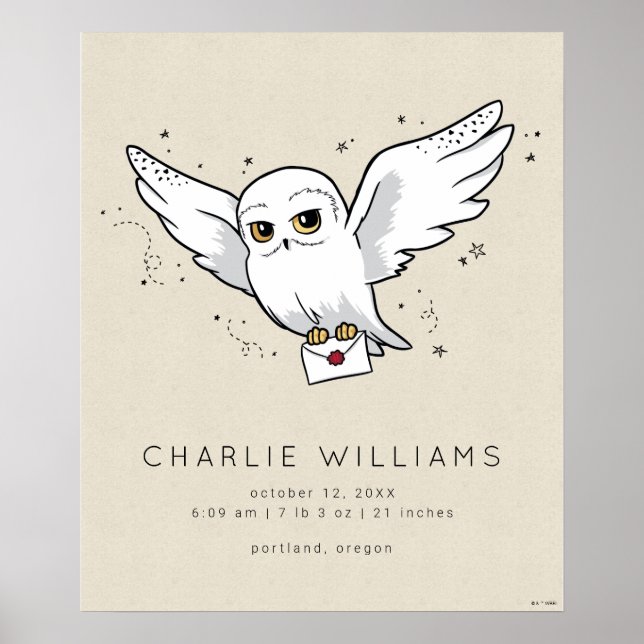 Poster Harry Potter | Hedwig Baby Birth Stats (Frente)