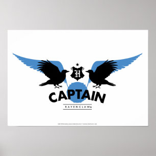Poster Harry Potter   RAVENCLAW™ House Quidditch Capitão