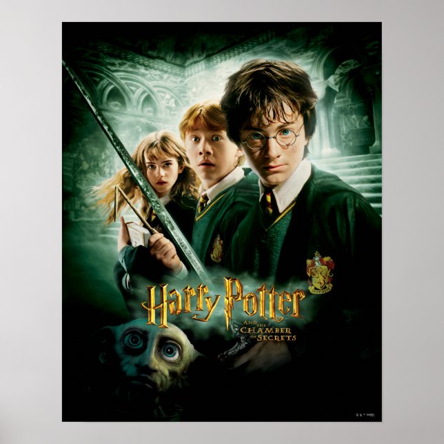 Poster Harry Potter Ron Hermione Dobby Group Shot (Frente)