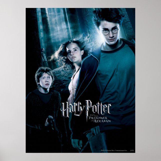 Póster Harry Potter Ron Hermione Na Floresta (Frente)