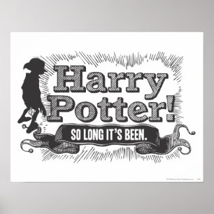 Poster Harry Potter! So Long it's Been