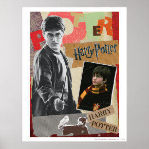 Poster Harry Potter Then and Now