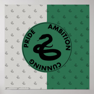 Poster Harry Potter   Traços para casas SLYTHERIN™ Gr