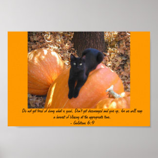 Póster Harvest Kitten