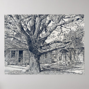 Poster Hassam - Oak E Antiga Casa Em Primavera