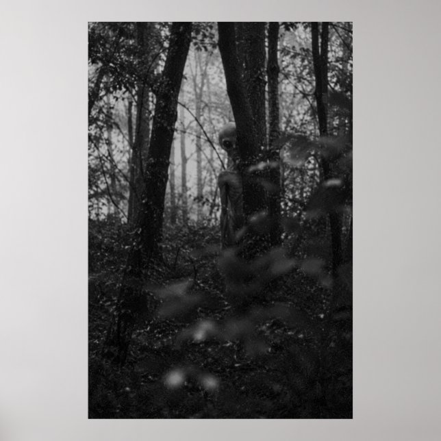 Poster Haunted Forest – Mysterious Shadow in the Woods (Frente)
