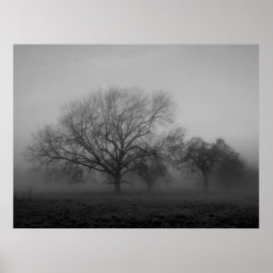 Póster Haunting Fog Canvas