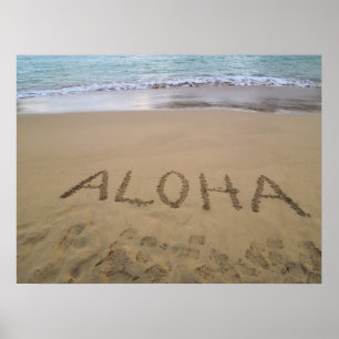 Póster Havaí Aloha