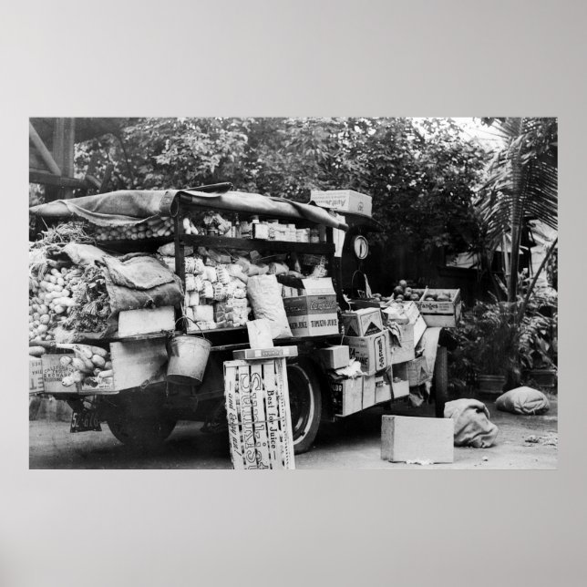 Póster Havaí - Vista de um Vagão Vegetal Nativo (Frente)