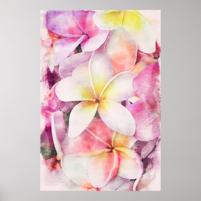 Poster Havaiana Plumeria Tropical Floral Watercolor (Frente)