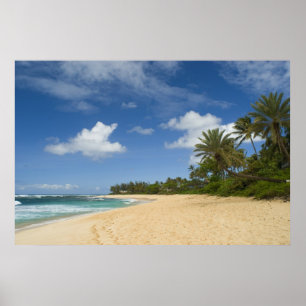 Poster havaiano da praia de 8,99