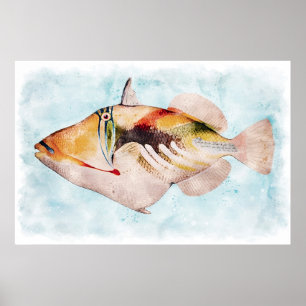 Poster Havaiano - Peixe-Giro Aquarela