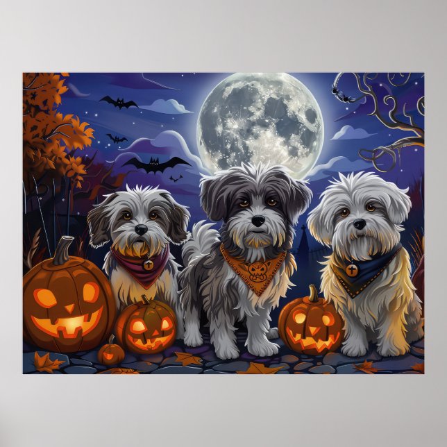 Poster Havanese Halloween Assustador (Frente)