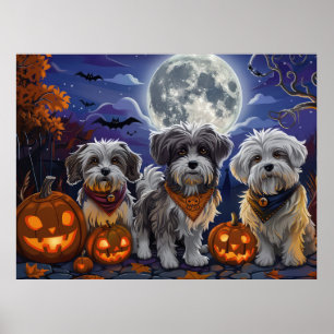 Poster Havanese Halloween Spooky
