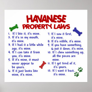 PÓSTER HAVANESE PL2