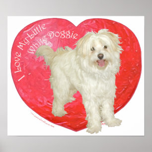 Póster Havanese / Westie Mistura Dia dos Namorados