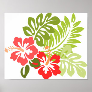 Poster Hawaii Hibiscus Flora Floral Flowers Blossoms