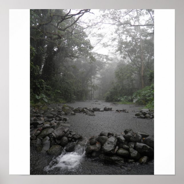 Póster Hawaii Rain (Frente)